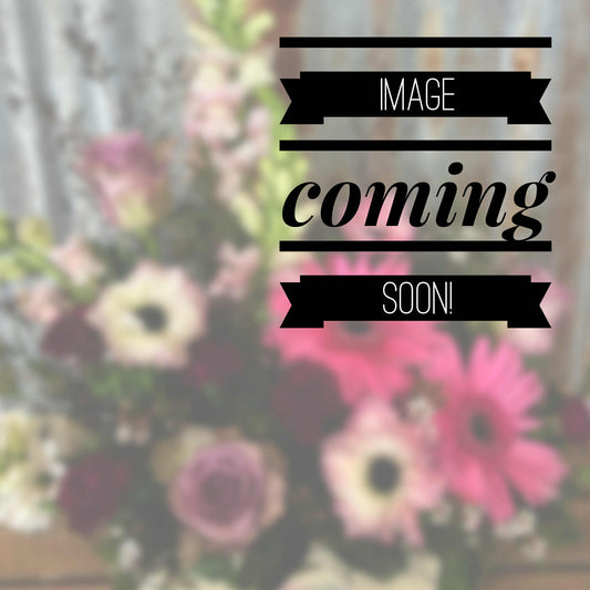 Florist Choice Box Arrangement - White / Neutral