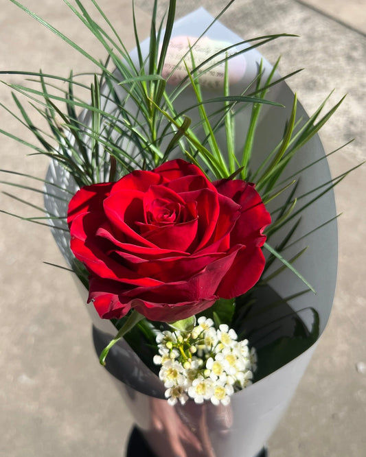 Bouquet of red roses with greenery and white flowers in a clear plastic wrap on a concrete surface.