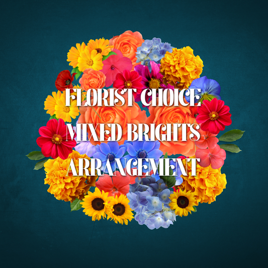 Florist Choice Box Arrangement - Mixed Brights