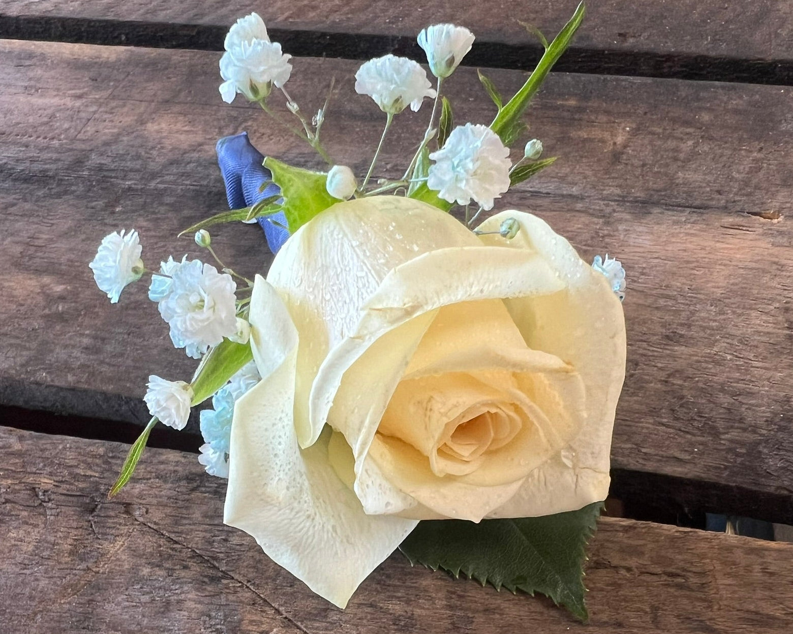 A pale cream-colored rose boutonniere with small white and light blue baby's breath flowers, placed on a rustic dark brown wooden surface.